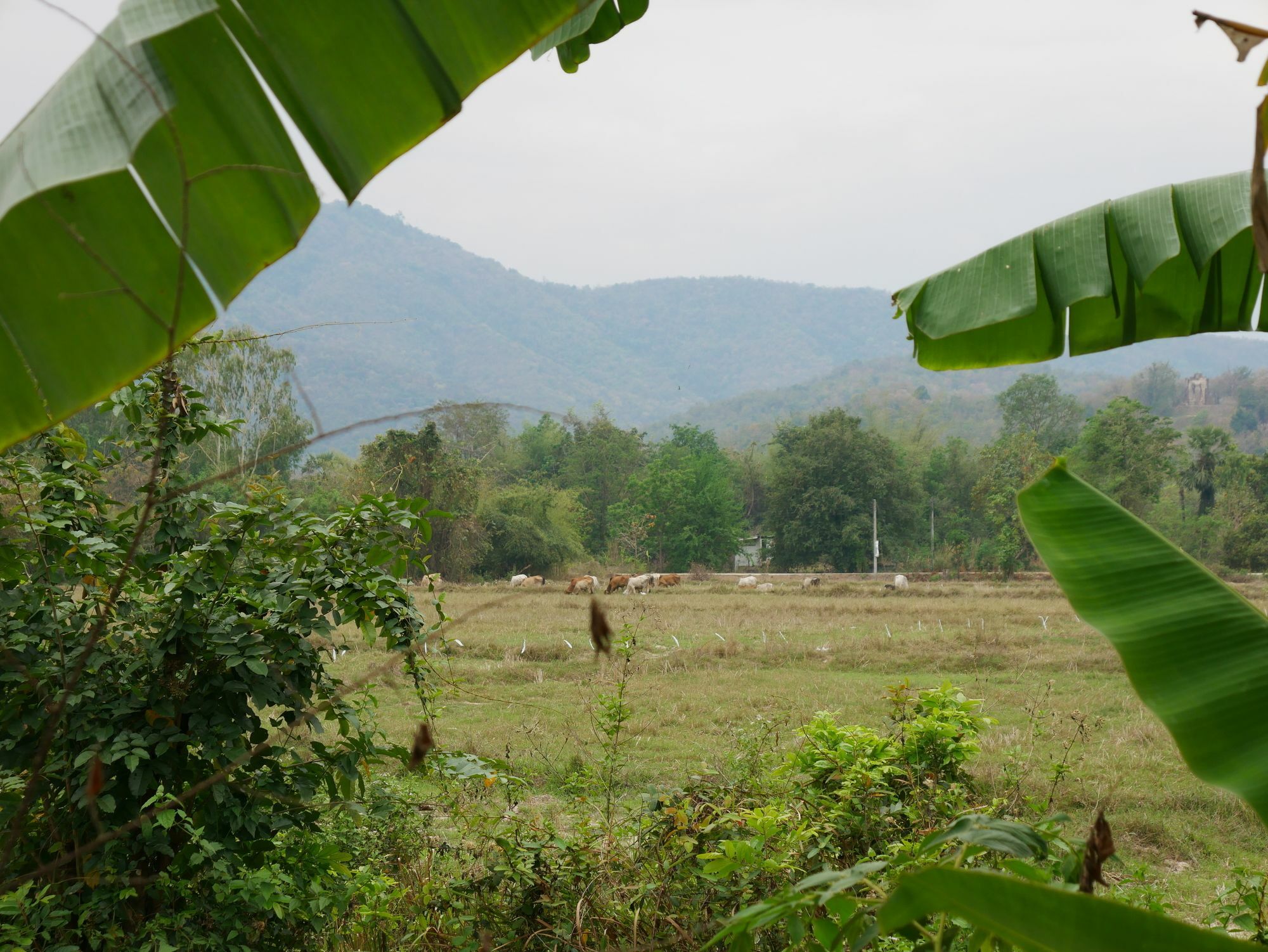 Doi Fah Homestay Sukhothai Eksteriør billede